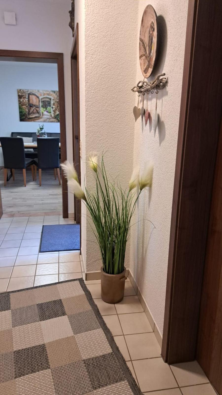 Ferienwohnung Am Reitersgaesschen Blankenrath Exterior foto